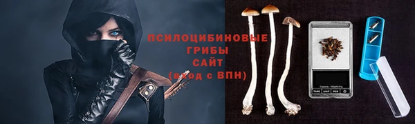 дживик Володарск