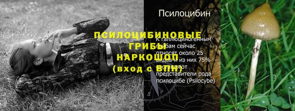марки nbome Верхний Тагил