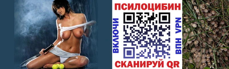 Псилоцибиновые грибы мицелий  Купить  Партизанск 